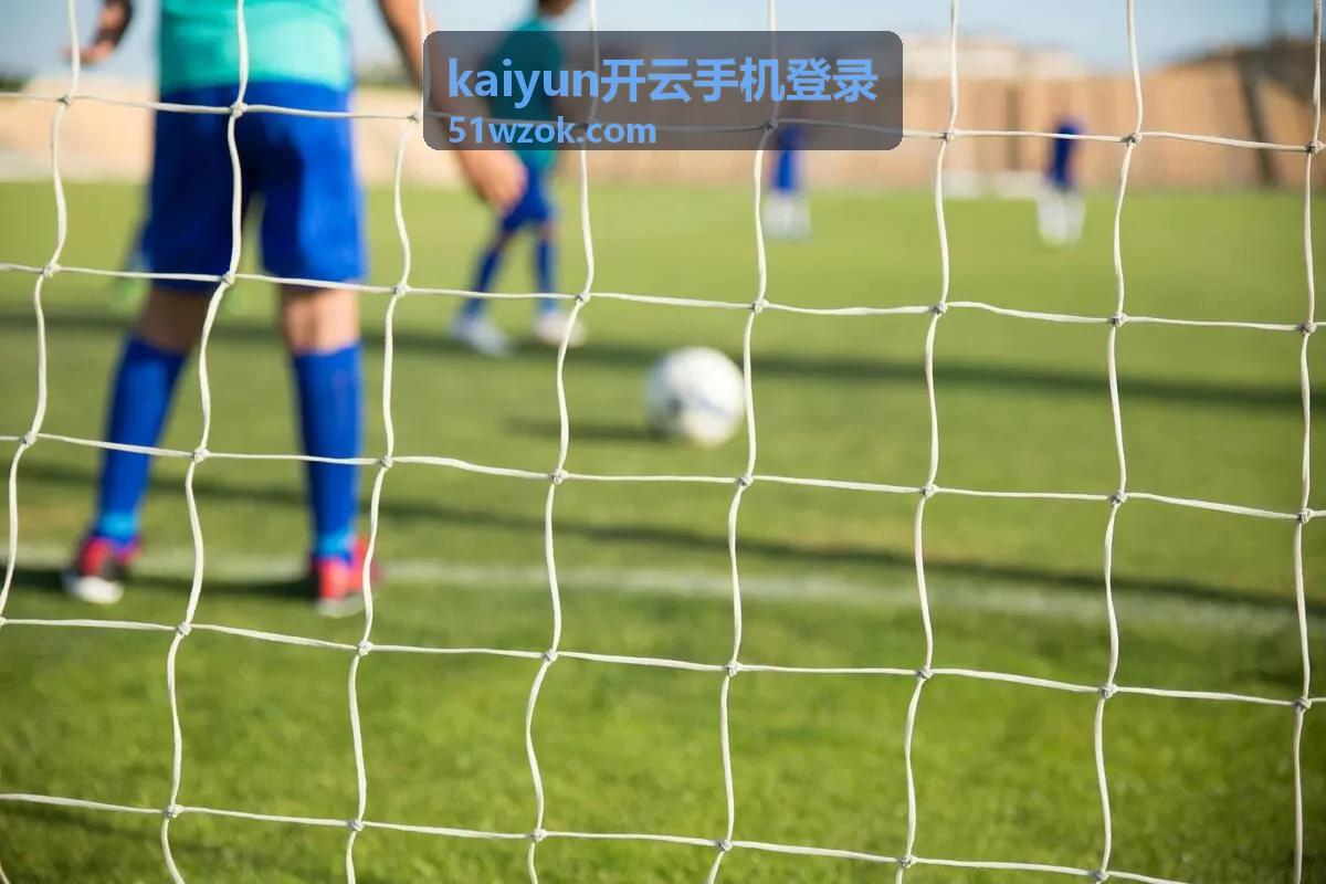 kaiyun开云手机登录账号异地使用提醒的应对方式