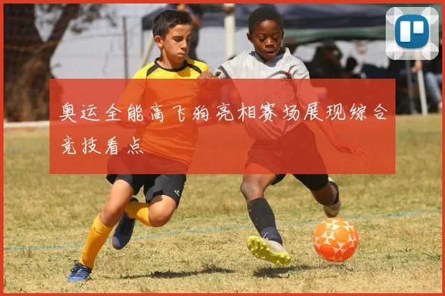 奥运全能高飞狗亮相赛场展现综合竞技看点