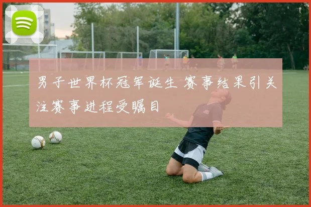 男子世界杯冠军诞生 赛事结果引关注赛事进程受瞩目